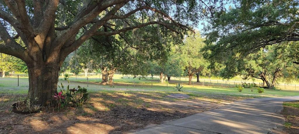 Charming Country Retreat Home Clermont Luaran gambar
